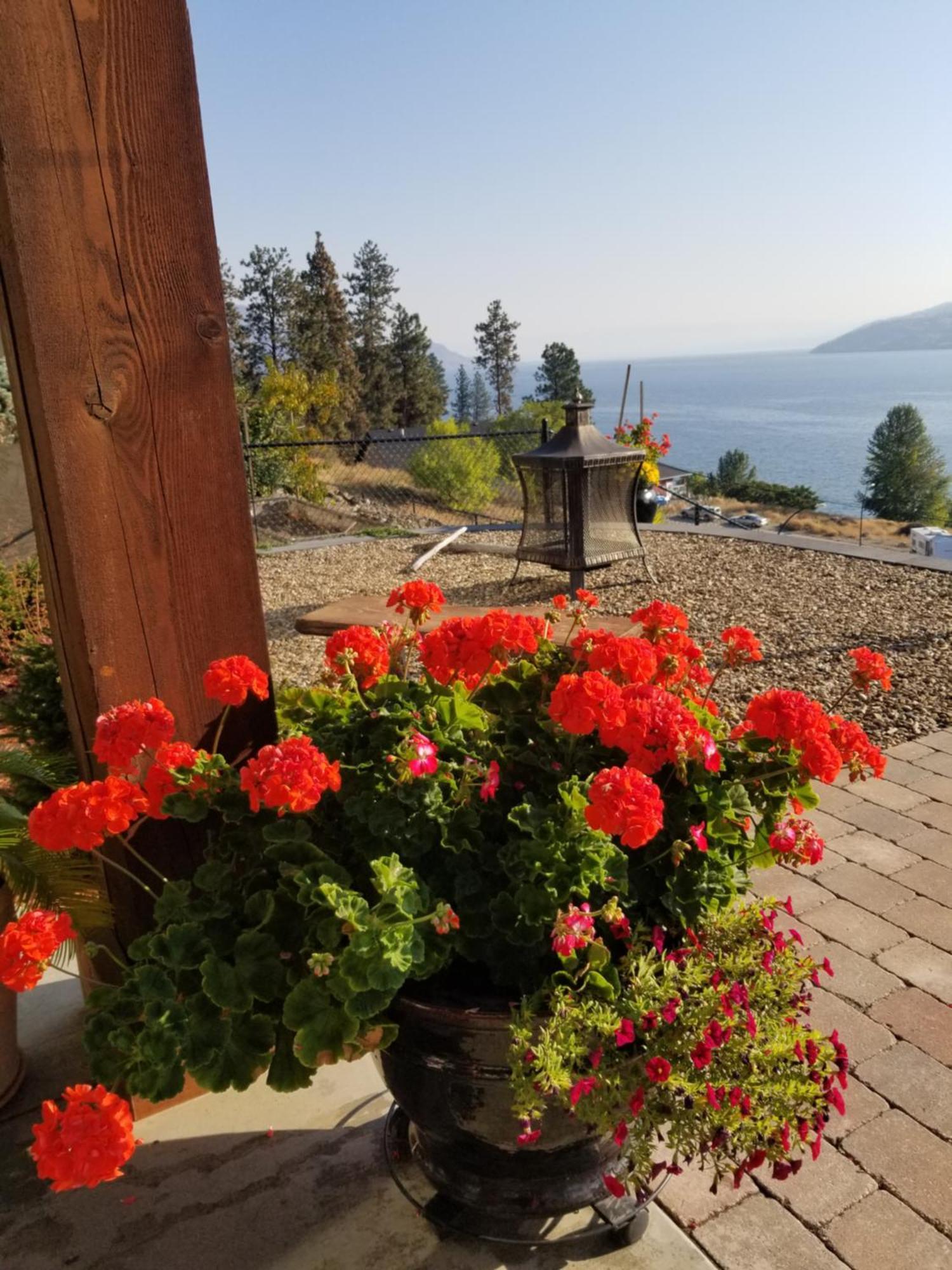 A Taste Of Mexico In The Heart Of Wine Country. Apartment Peachland Luaran gambar