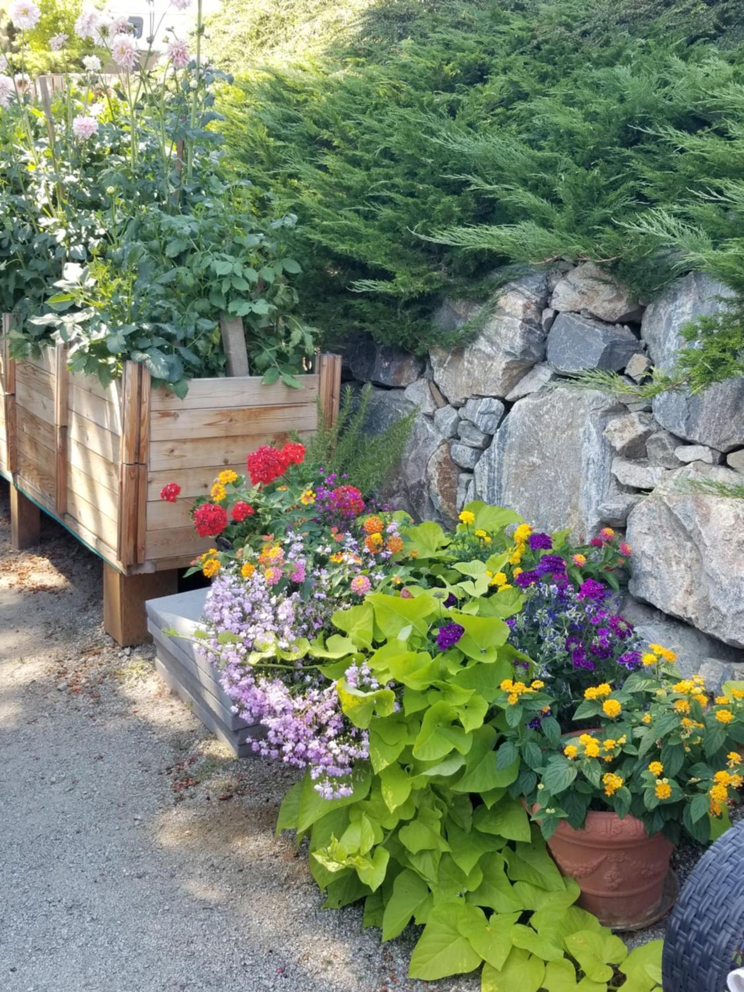 A Taste Of Mexico In The Heart Of Wine Country. Apartment Peachland Luaran gambar